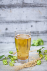 Glass of beer with hops and barley