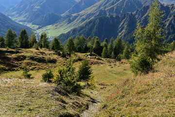 Fototapeta premium Österreich-Alpen