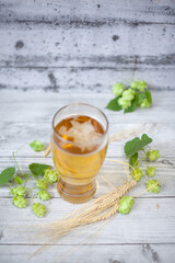Glass of beer with hops and barley