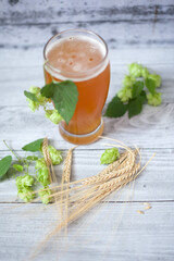 Glass of beer with hops and barley