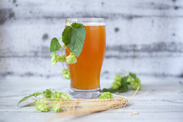 Glass of beer with hops and barley