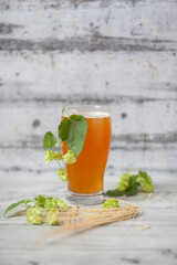 Glass of beer with hops and barley