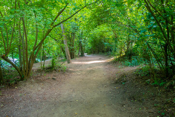 Parco Fluviale dell'Elsa (River park of river Elsa) in Colle Val d'Elsa, Tuscany