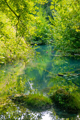 Obraz premium Parco Fluviale dell'Elsa (River park of river Elsa) in Colle Val d'Elsa, Tuscany