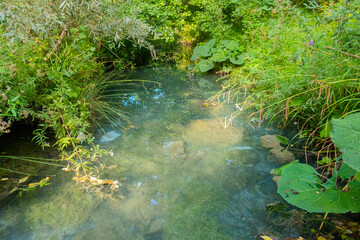 Parco Fluviale dell'Elsa (River park of river Elsa) in Colle Val d'Elsa, Tuscany