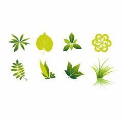 leaf set collcetion vector design