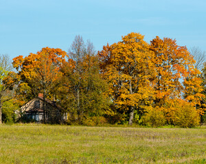 Beautiful country house with autumn oranges and yellow-green trees as well as a meadow and blue sky