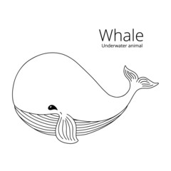 Cute Outline Whale. Hand drawn Cartoon Sea Life illustration. Wild Underwater Animal. Contour Marine clipart, vector element isolated for cute nursery print, childish coloring book page, baby card