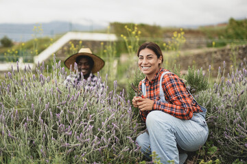 Multiracial gardening people cutting lavender