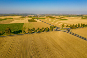 Obraz premium View of a roundabout in the middle of harvested fields in the warm evening light in Rheinhessen / Germany 