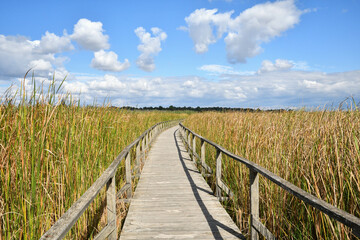 Obraz premium Schöner Weg