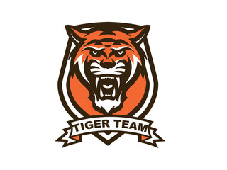 Tiger Mascot Graphic