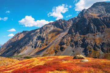Autumn in mountains. Wonderful alpine landscape with orange autumn hill on foot of rocky mountain in sunshine. Motley mountain scenery with gray rocks in golden fall colors.