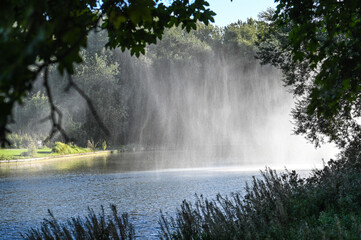 Parc des etangs Bruxelles Anderlecht Belgique environnement nature vert