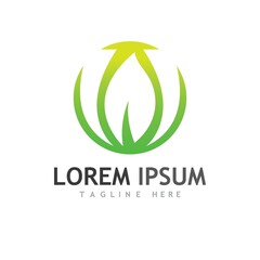 Fototapeta premium leaf logo and vector images