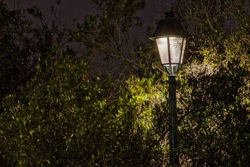 Lamp post lit of a park at night