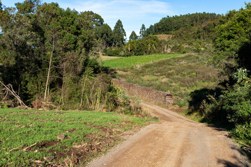 Dirty road with plantation and forest