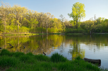 Fototapeta na wymiar Pond and Lush Forest of Battle Creek Park