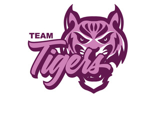 Tiger Mascot Graphic