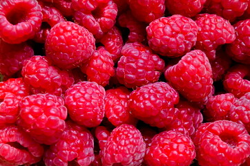 Heap of many ripe raspberry fruits, can be used as a background, Sofia, Bulgaria 