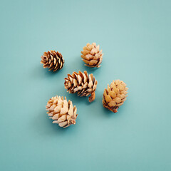 Top view image of autumn forest natural composition with dry pine cone over green background .Flat...
