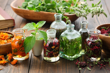 Bottles of essential oil or infusion of herbs and berries - calendula, mint, heather, monarda...