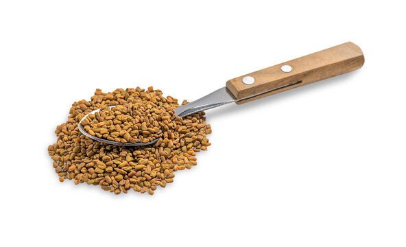 Fenugreek annual plant seeds served in spoon used as a culinary ingredient for preparation of golden tea or helba also used in traditional medicine of India and Egypt isolated on white background