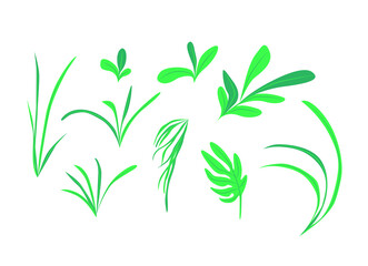 Set of hand drawn vector. Cartoon illustration. Illustration set of green leaves