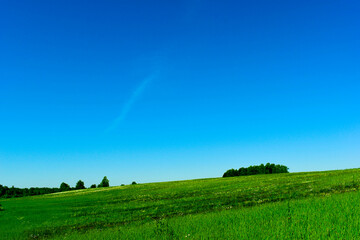 Field. Summer landscape. Landscape , photo