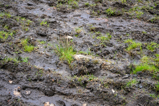 Flooded muddy soil in the country