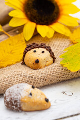 Fototapeta na wymiar funny baked hedgehogs for autumn time