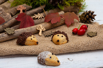 funny baked hedgehogs for autumn time