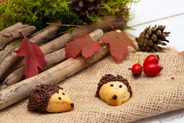 funny baked hedgehogs for autumn time