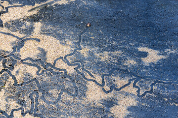 Snail trail on the beach creating abstract patterns in the sand