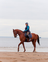 a rider on a red horse on the shore of the bay