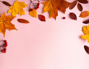 Autumn border banner with natural dried leaves and red berries on bright background, top view, copy...