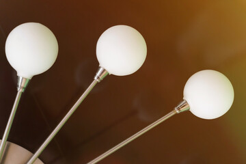 White round lamp shades on the ceiling of the room.