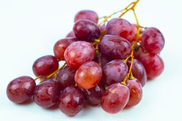 Pink grapes on the vine