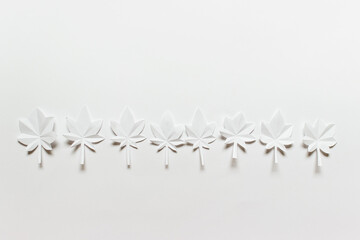 White background with a row of white paper folded origami maple leaves