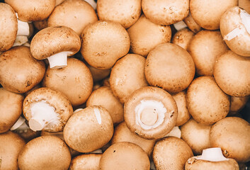 Close up of brown fresh champignones, top view, texture background of mushrooms, fungi as cooking ingredient. Natural food facture