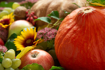 Autumn harvest, fruits and vegetables. Thanksgiving or harvest holiday concept.