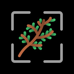 Abstract single spruce branch icon. Isolated symbol in a square frame. Vector on a black background.