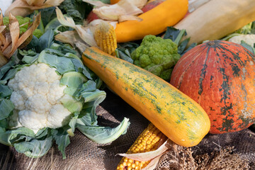 Zucchini, cauliflower, pumpkin, corn and other vegetables on counter of the agricultural fair