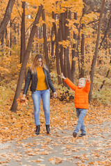 Naklejka na ściany i meble Mother and son walking in the fall park and enjoying the beautiful autumn nature. Season, single parent and children concept.