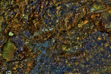 water stream autumn flow of life