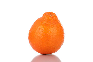 One juicy organic mineola, close-up, isolated on white.