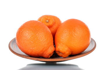 Three juicy bright orange minneolae with ceramic crockery, close-up, isolated on white.