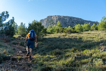 Hiker man seen from behind ascending a mountain on a stony path with the sun in front of him.