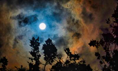 Photo by Diaa Bekheet