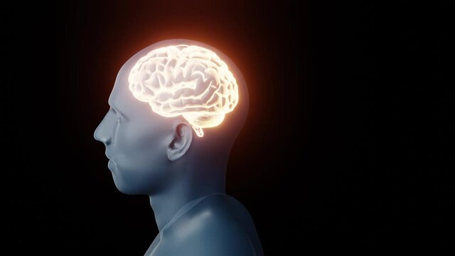 3D stylized animation render transparent silhouette of a person rotates 360 degrees, neon glowing brain, inside the human head, brain MRI, X-ray, tests, tomography